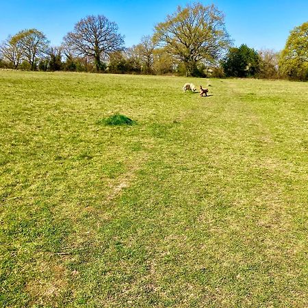 Elkstone Studio Private Hottub Pet Friendly Malvern Екстериор снимка